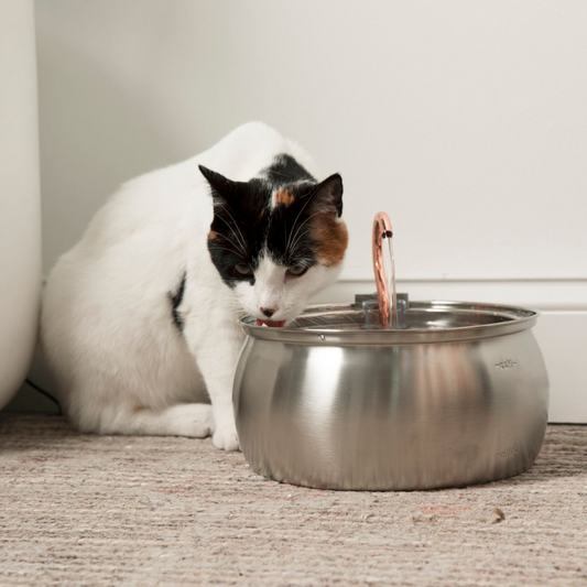 3.2 L Automatic Pet Fountain 304 Stainless Steel Cat Water Dispenser with Filter